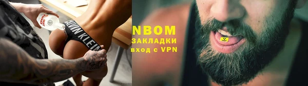 крисы Алзамай