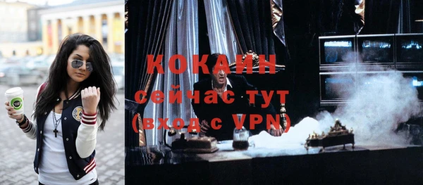 крисы Алзамай