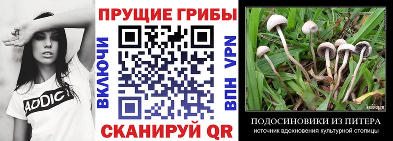 Галлюциногенные грибы Psilocybe  MEGA ссылка  Ступино  дарнет шоп 